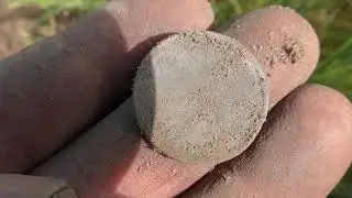 Long Grass Detecting