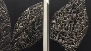 Barcaroli Cromie del Segno