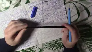 Они сами захотели! Мардан