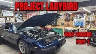 Project Ladybird 2- The Walkaround (Intro 2/2)