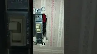 50+ Year Old Buzzing Light Switch