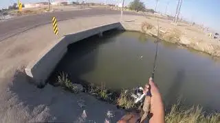 Corcoran canal!!!!!!