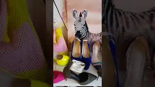 Nadia's collection shoes on point