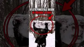 Un Atleta Direttamente Dal Bosco Ha Deciso Di Provare La Boxe 🤡