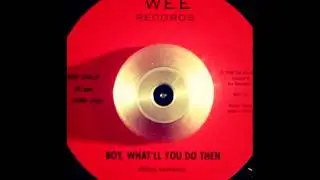 DENISE - BOY, WHAT'LL YOU DO THEN