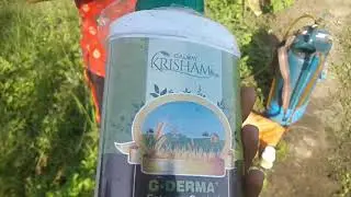 Galway product by debrimunda village