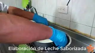 Elaboraci&oacute;n de leche saborizada