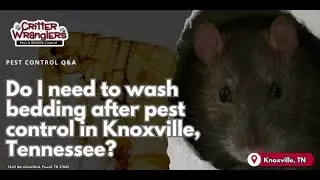 Do I need to wash bedding after pest control in Knoxville Tennessee?