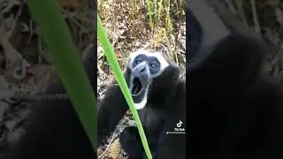 Ayooo that ass hurt