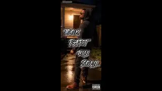 'TOOK PART MY SOUL' – DBB | Audio Visualizer #painmusic #trapsoul #newsoulmusic