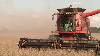 Iowa farmers, small businesses face tough choices amid rising costs and uncertain markets