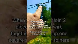 How To make the Best Woven wire Splice that holds well. #homestead #gardenfence #fence