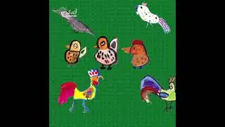 Birds
