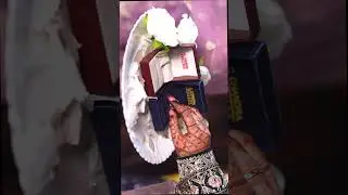 Samma & Feroj Reel   5