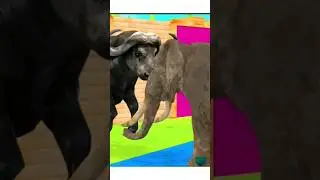 Buffalo VS Elephant ROOM CHALLENGE Animals  #gameing #anialsgames #wildanimals #elephat #mammoth #