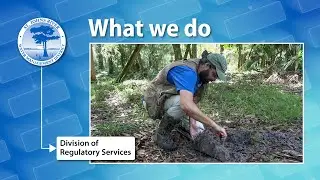 District permitting program protects Florida&rsquo;s environment