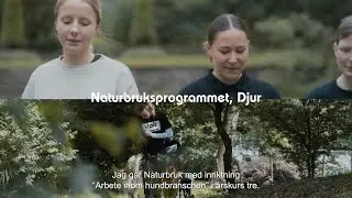Naturbruksprogrammet, Djurvård på Burgårdens gymnasium