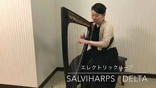 【銀座十字屋】エレクトリックハープ DELTA