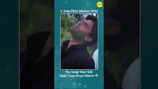 Tum Dil Ki Dhadkan Mein Rehte Ho | Deewano Sa Haal Hua | Evergreen Love Song