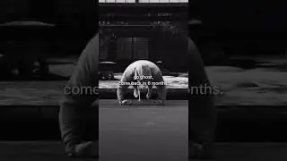 #goghost #successmotivation
