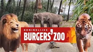Burgers Zoo: The Most Insane Zoo Experience