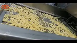 Frozen French fries line complete
