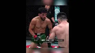 WHAT A FIGHT 🤯 #ufcvegas108