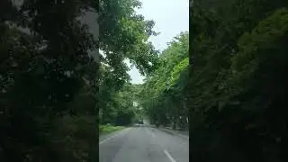 #roadtripindia #travel #nature