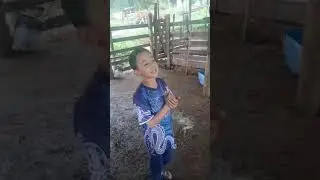 A Vaquinha