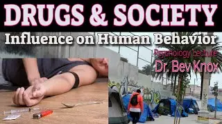 Psychology of Drugs, Society & Human Behavior