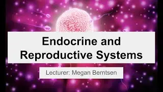 MCAT Question Based Review Week 12: Endocrine and Reproductive Systems