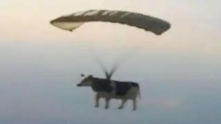 Extreme Try Not To Laugh Challenge