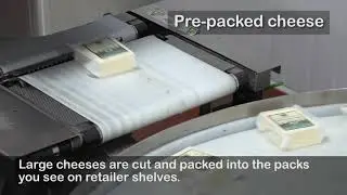 Packing Cheese