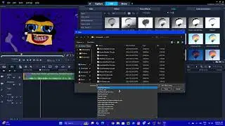 How to make RGB to BGR on Corel VideoStudio using a LUT
