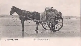 Film 88  Scheveningen  Strand Zeezijde