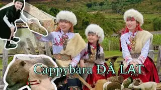 72 GIỜ Ở ĐÀ LẠT THĂM CAPPYBARA ? BÉ SÚN I SAM SAM