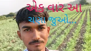 આપણા ચણા કેવા છે તમે જોવો...#farminglife #like #minivlog 