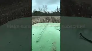 Come ride with me in a tractor bush hogging Cotten stocks (SOMETHING CRAZY HAPPENS WACTH TILL END.) 