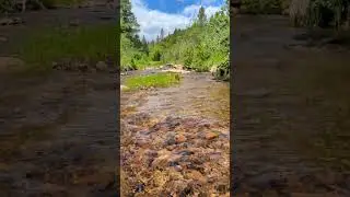 10 Second Outdoor Therapy | #mountains #nature #outdoors #watersounds for #rest and #relax