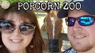 Popcorn Zoo Vlog