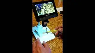 DCORN Coin Microscope Review | 10X-1000X Magnification | Windows Compatible | 32GB TF Card