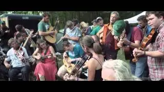 Clifftop Music festival, 2014. - Rachel Eddy 