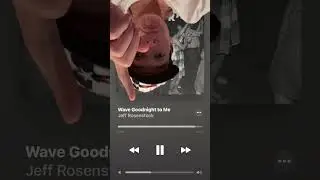 Ever heard of this one? #worry #jeffrosenstock #poppunk #theneedledrop #fantano @FantanoShorts