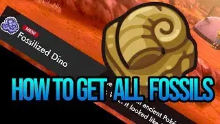 How To Get All Fossils Locations ( Fossilized Dino & Birds) - Pokemon Sword and Shield