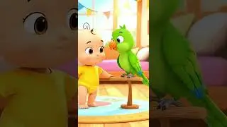 Mithu Mithu 🦜👶 Cute Tota Aur Baby Cartoon | Kids Funny Short Video #cutebabyparrot  #kidsvideo