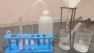 SOAP Action on HARD & SOFT Water Class 10 CBSE 2023.Lab Demonstration
