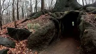 GoPro POV Adventure: A Day at the Baltimore Zoo | Animal Encounters 🐾🎥The Caves.