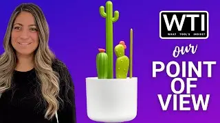 Our Point of View on Boon Cacti Bottle Cleaning Brush Set From Amazon