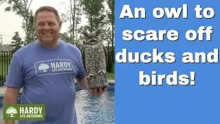 Large Fake Owl Decoy to Scare Birds Away Garden Scarecrow Provides Natural Pest Control 16