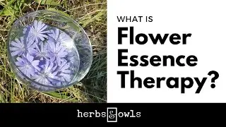 What is Flower Essence Therapy?